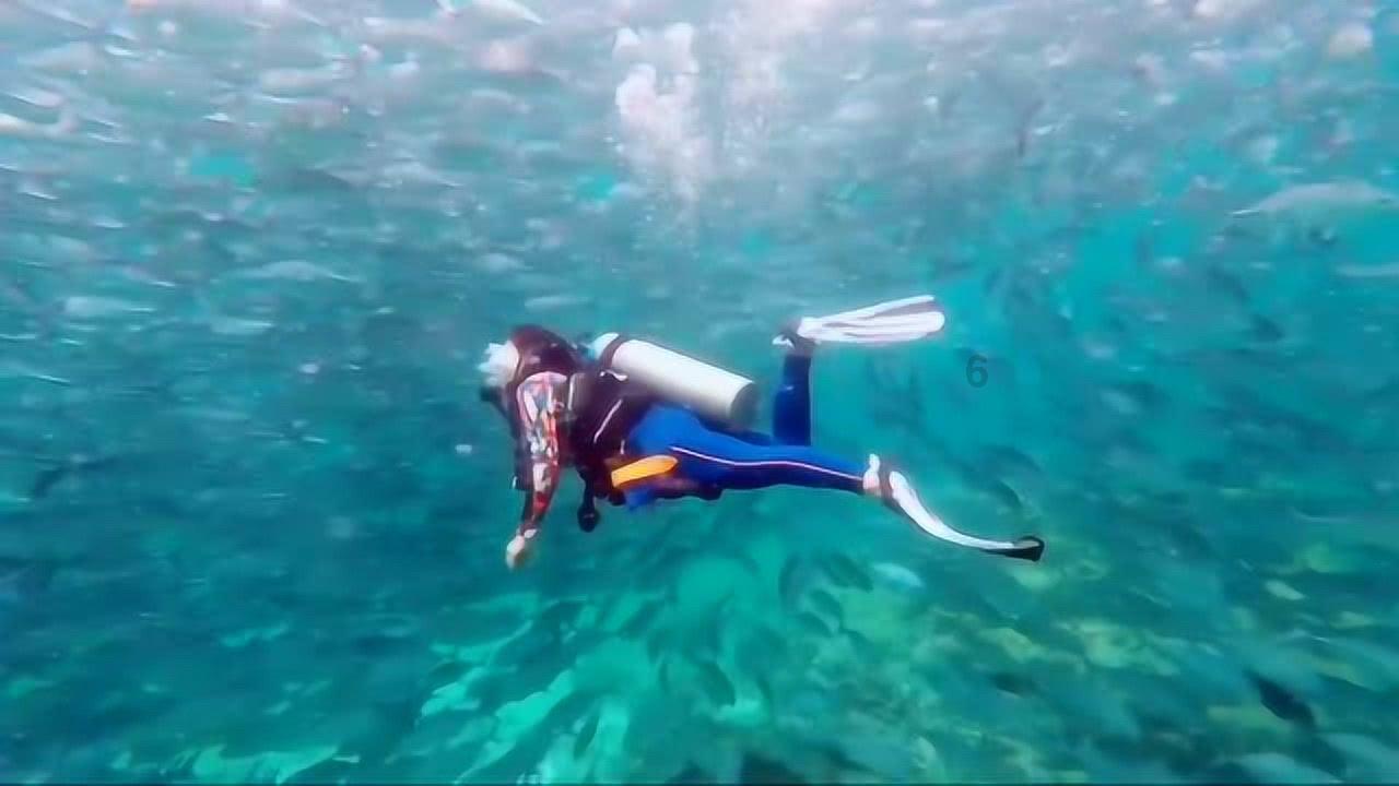 公安武警人工智能虚拟现实三维电子沙盘