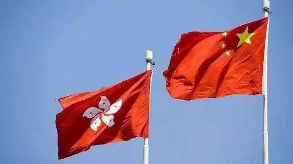 萌犬记忆卡