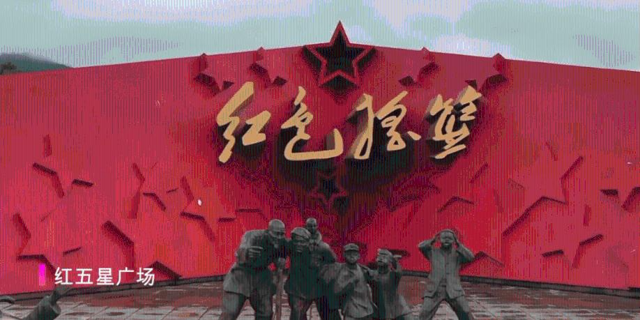 饿狮救援