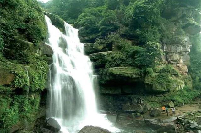 相约阿古拉 调研农文旅中视艺宣