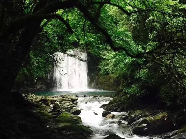 宝贝七巧板
